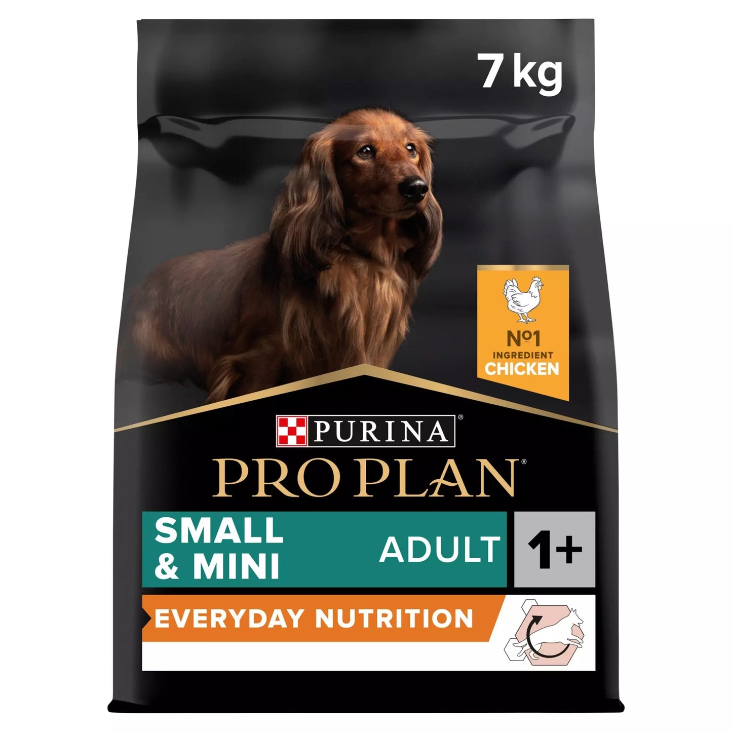 Pro Plan Adult Small and Mini Everyday Nutrition Chicken Dry Dog Food