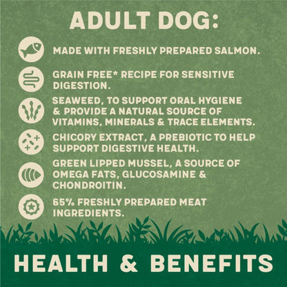 Harringtons Salmon with Potato & Vegetables Grain Free Wet Dog Food 8 x 400g