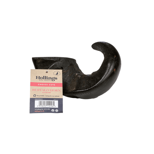 Hollings Buffalo Horn Standard