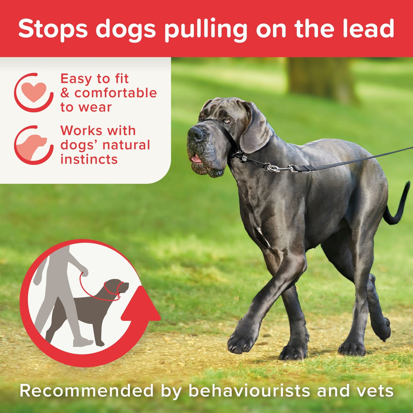 Beaphar Gentle Leader Head Collar for Dogs