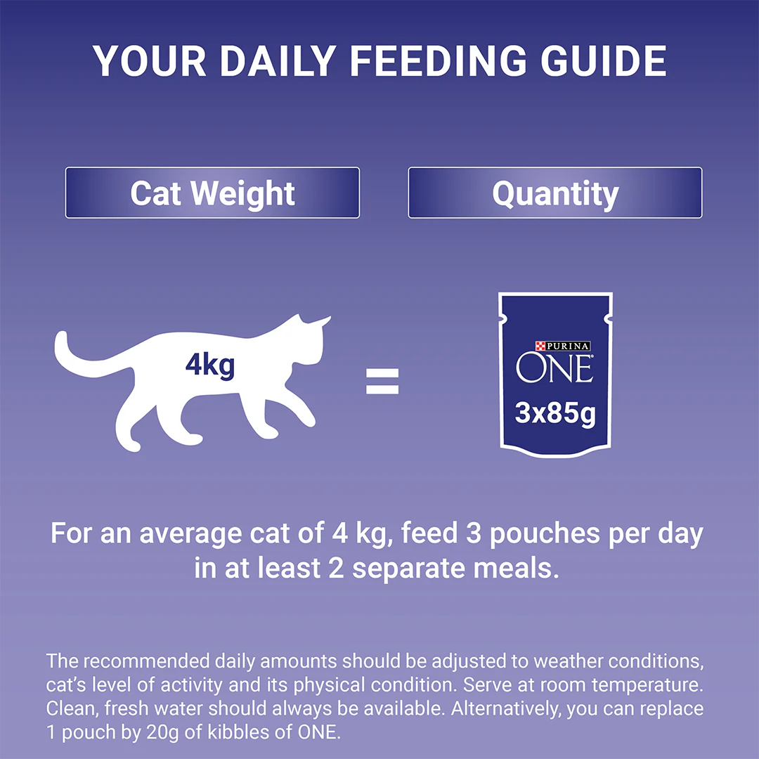 Purina One Senior 7+ Mini Fillets Salmon and Ocean Fish Wet Cat Food 8 x 85g
