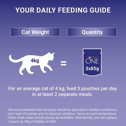 Purina One Senior 7+ Mini Fillets Salmon and Ocean Fish Wet Cat Food 8 x 85g