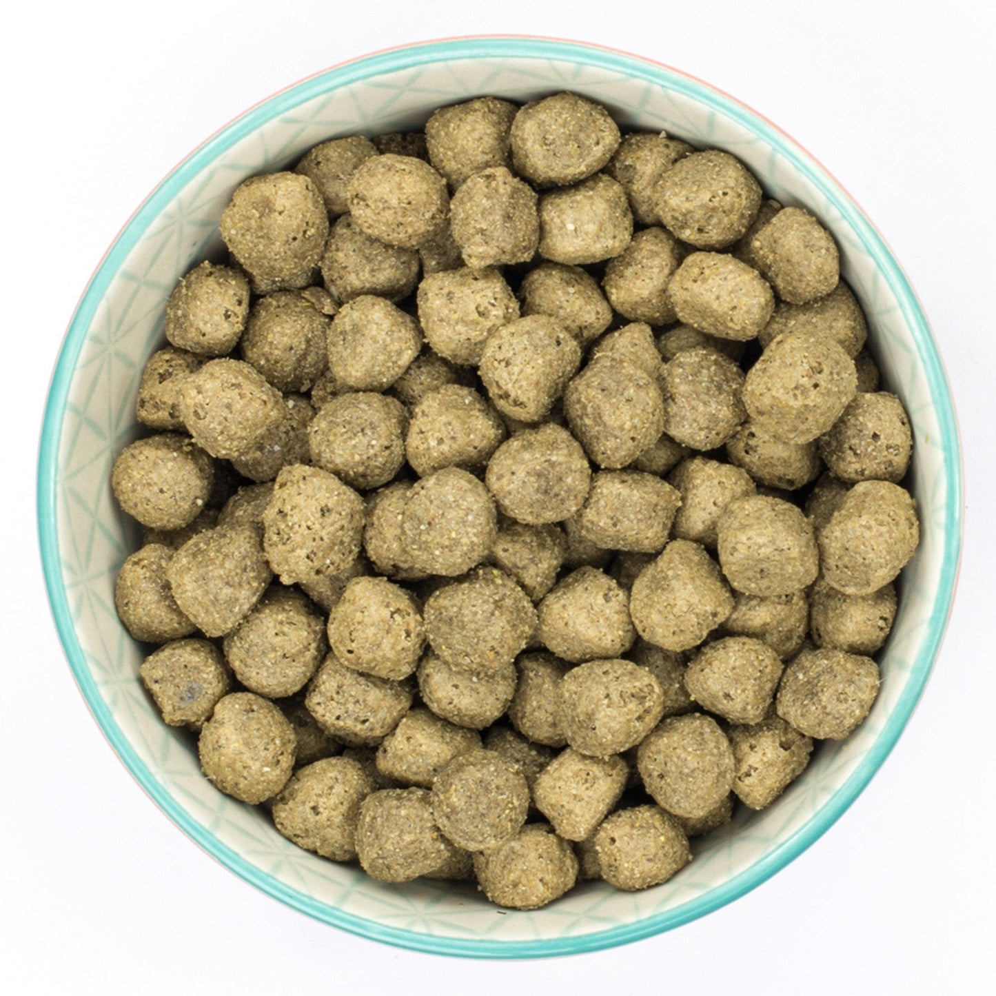 Burns Sensitive Pork & Potato Dry Dog Food