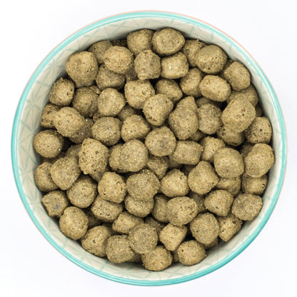 Burns Sensitive Pork & Potato Dry Dog Food