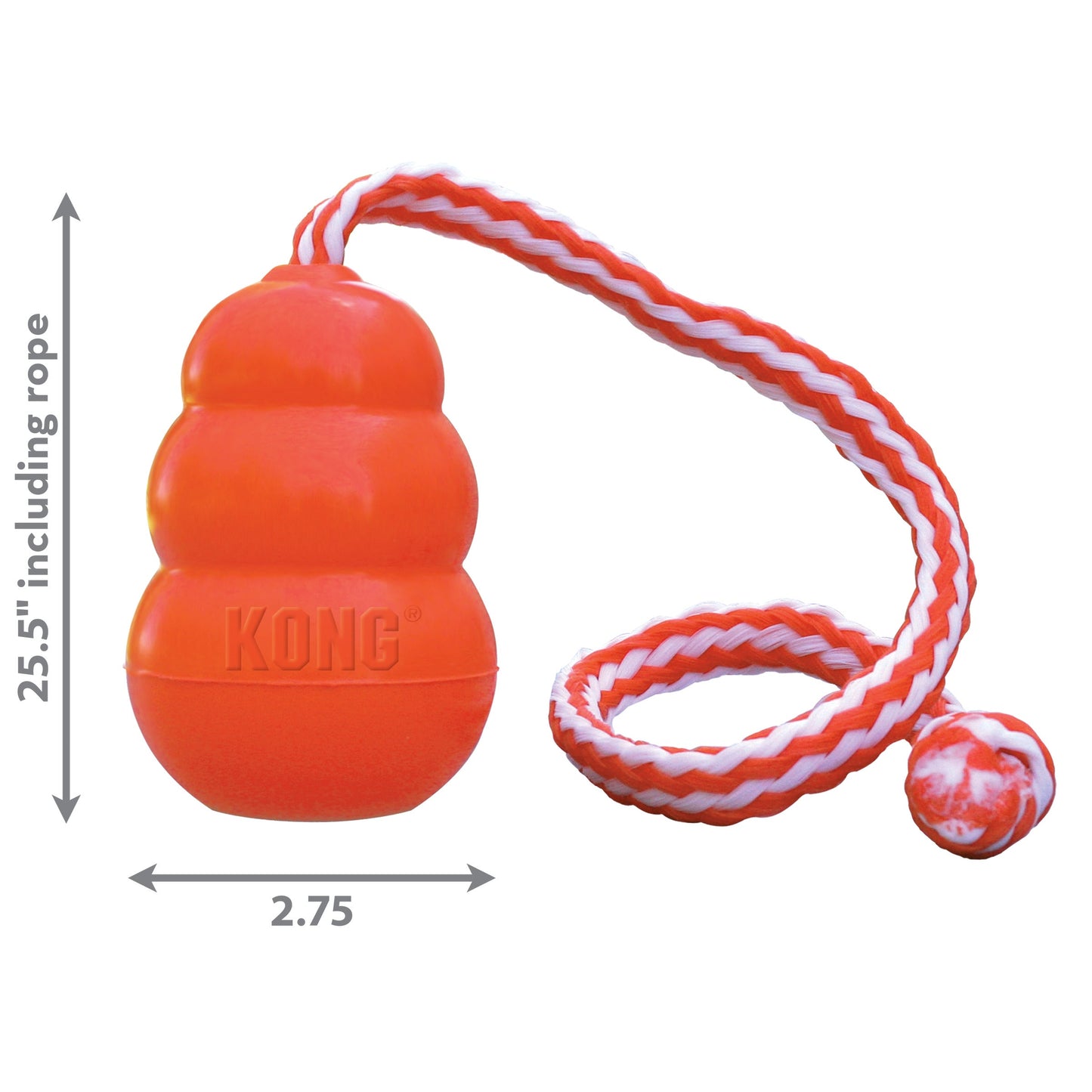 KONG Aqua Dog