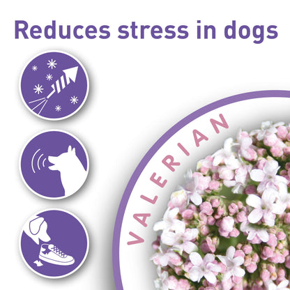 Beaphar Calming Valerian Spot On for Dogs 3 pipettes