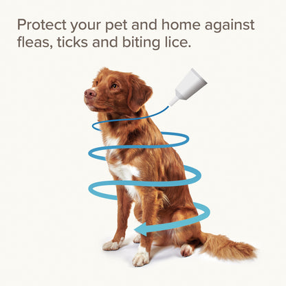 Beaphar FIPROtec COMBO Flea & Tick Spot-On for Dogs (2-10kg) 1 pipette