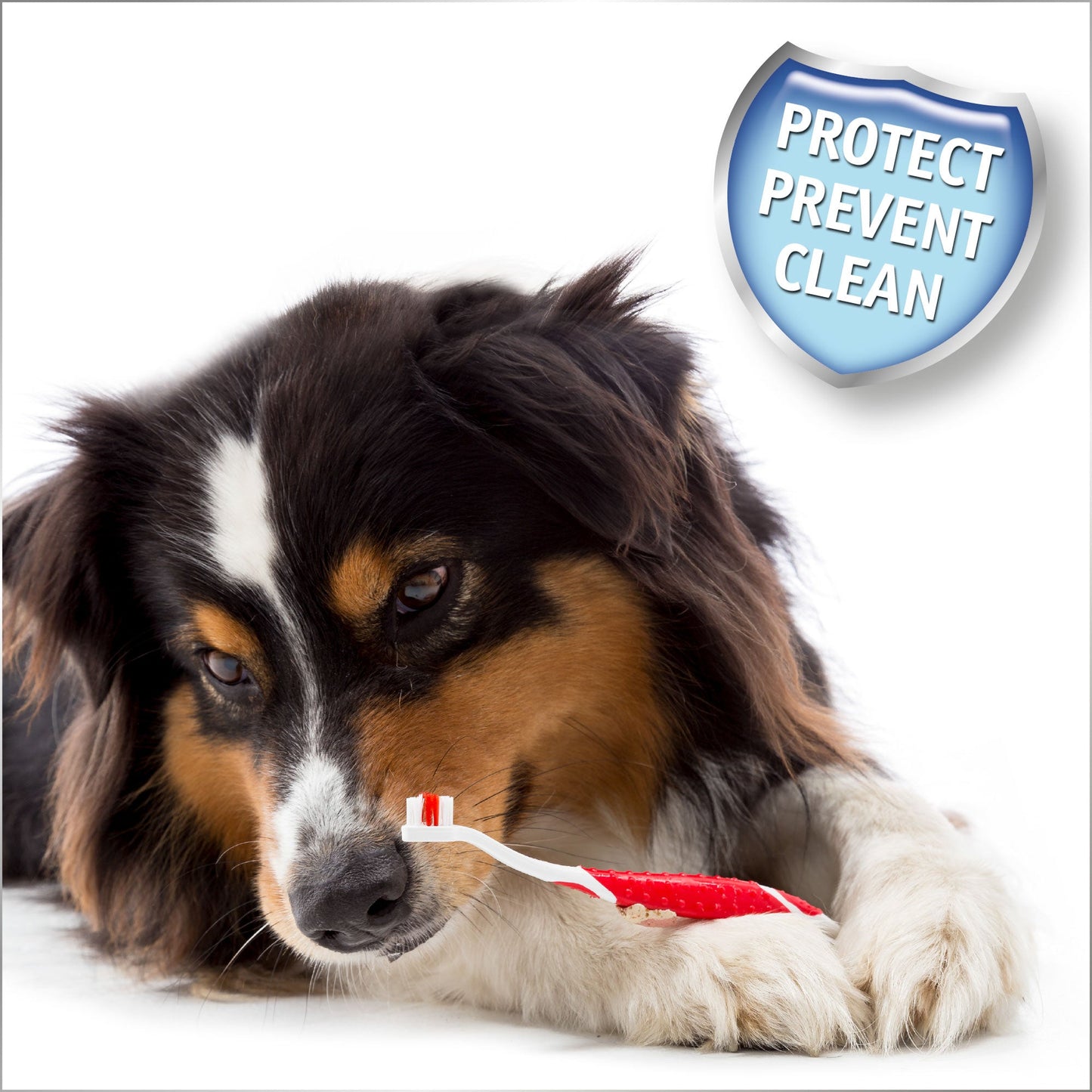 Beaphar Toothbrush & Toothpaste for Cats & Dogs 100g