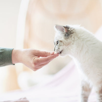 Beaphar Fresh Breath Tablets for Cats & Dogs 40 tablets