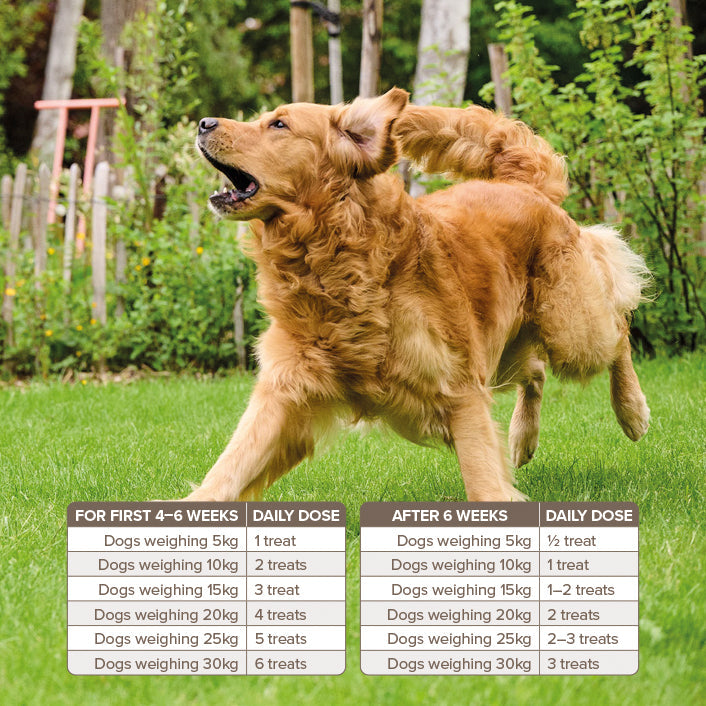 Beaphar Glucosamine Easy Dog Treat 60 treats