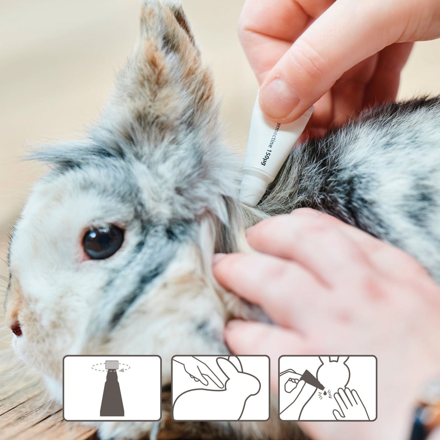 Beaphar Anti Parasite Spot On for Small Animals (weighing >300g) 4 pipettes
