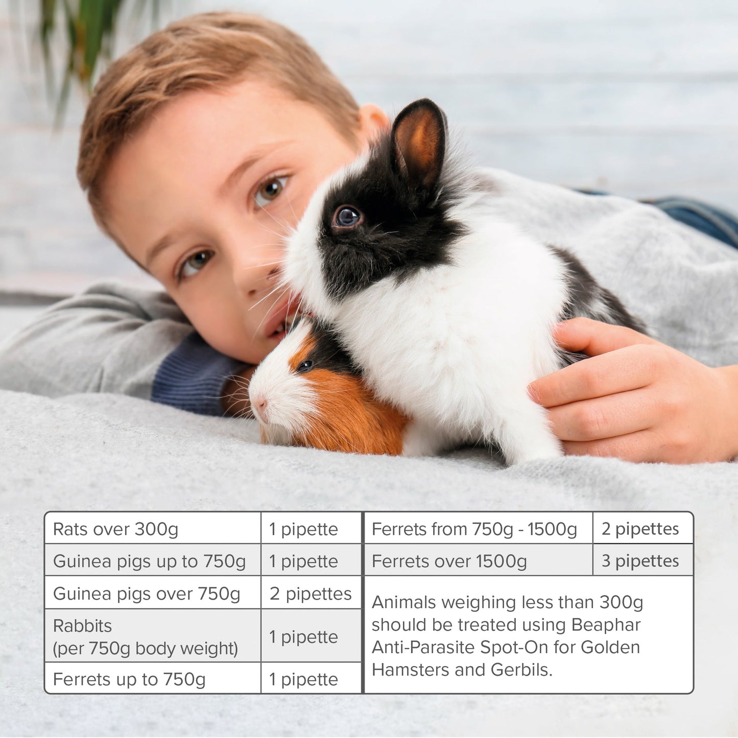 Beaphar Anti Parasite Spot On for Small Animals (weighing >300g) 4 pipettes