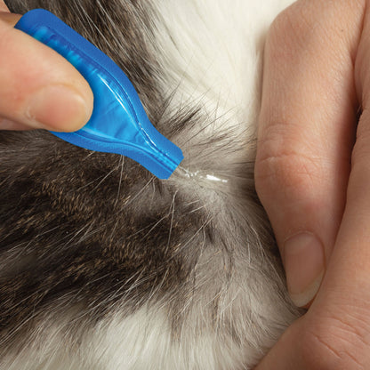 Beaphar FIPROtec Flea & Tick Spot-On for Cats 4 pipettes