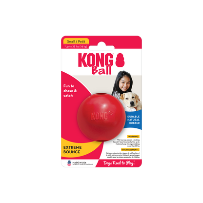 KONG Dog Ball With Hole