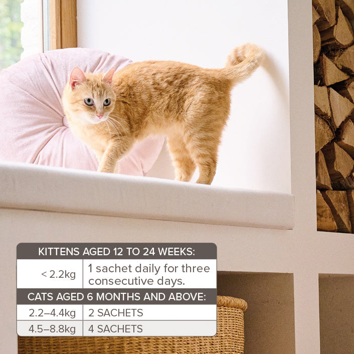 Beaphar Worming Granules for Cats 4 x 1g