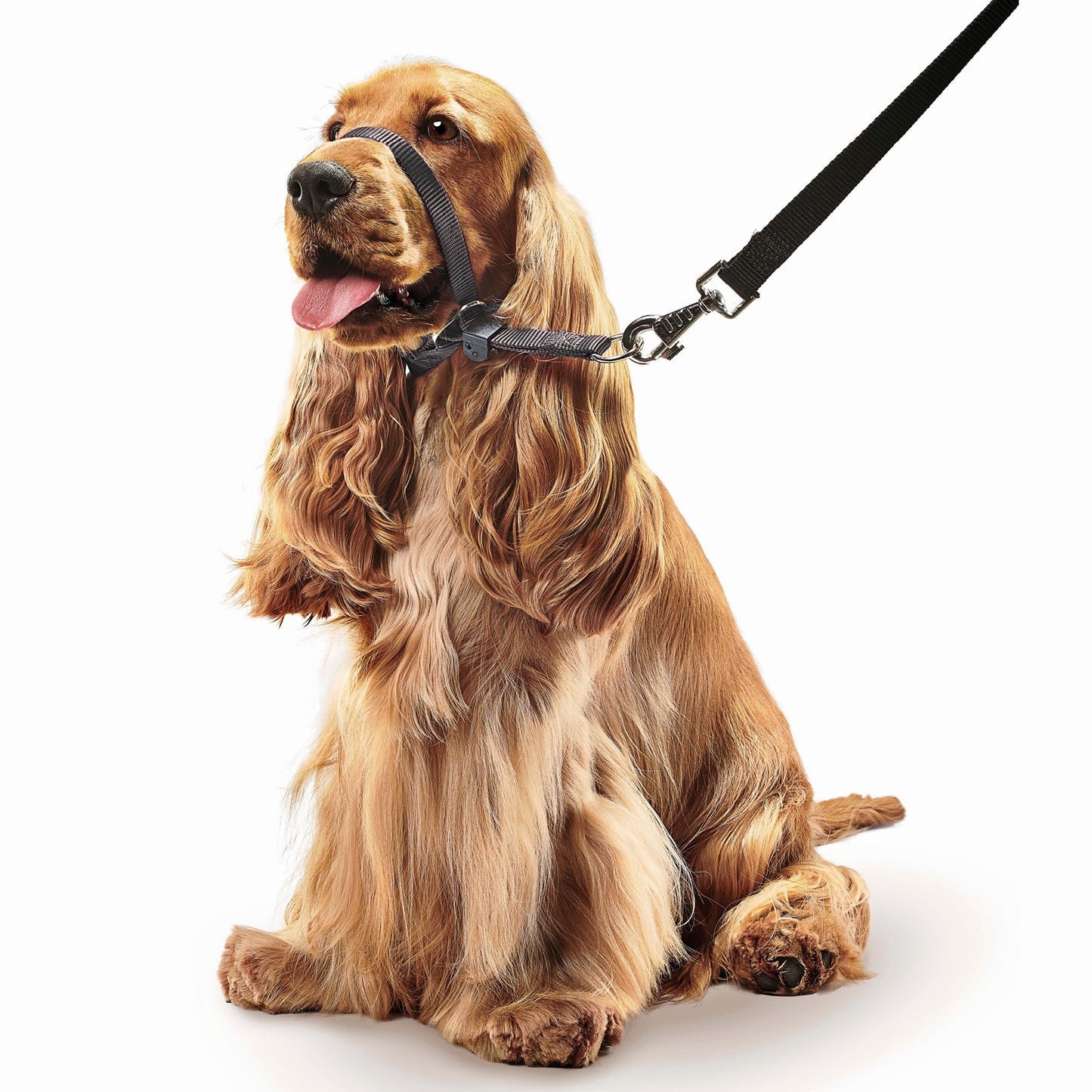 Beaphar Gentle Leader Head Collar for Dogs