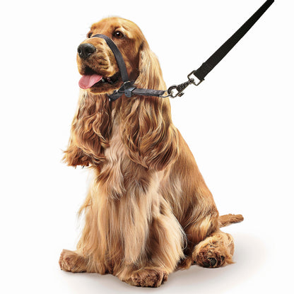 Beaphar Gentle Leader Head Collar for Dogs