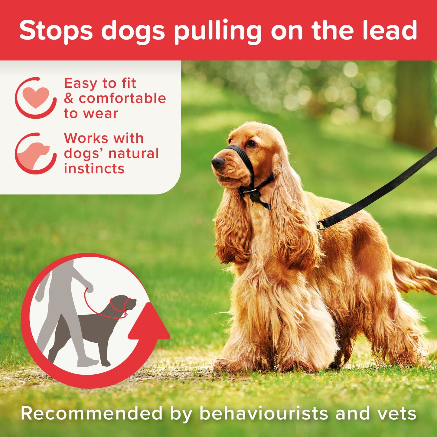 Beaphar Gentle Leader Head Collar for Dogs