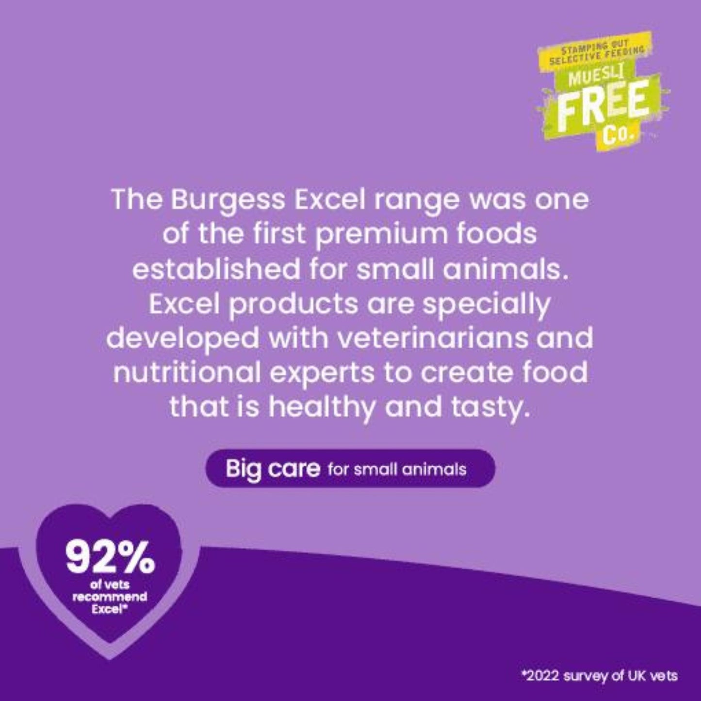 Burgess Excel Chinchilla Nuggets with Mint Food 1.5kg