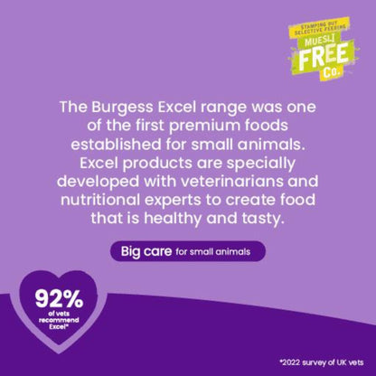 Burgess Excel Chinchilla Nuggets with Mint Food 1.5kg