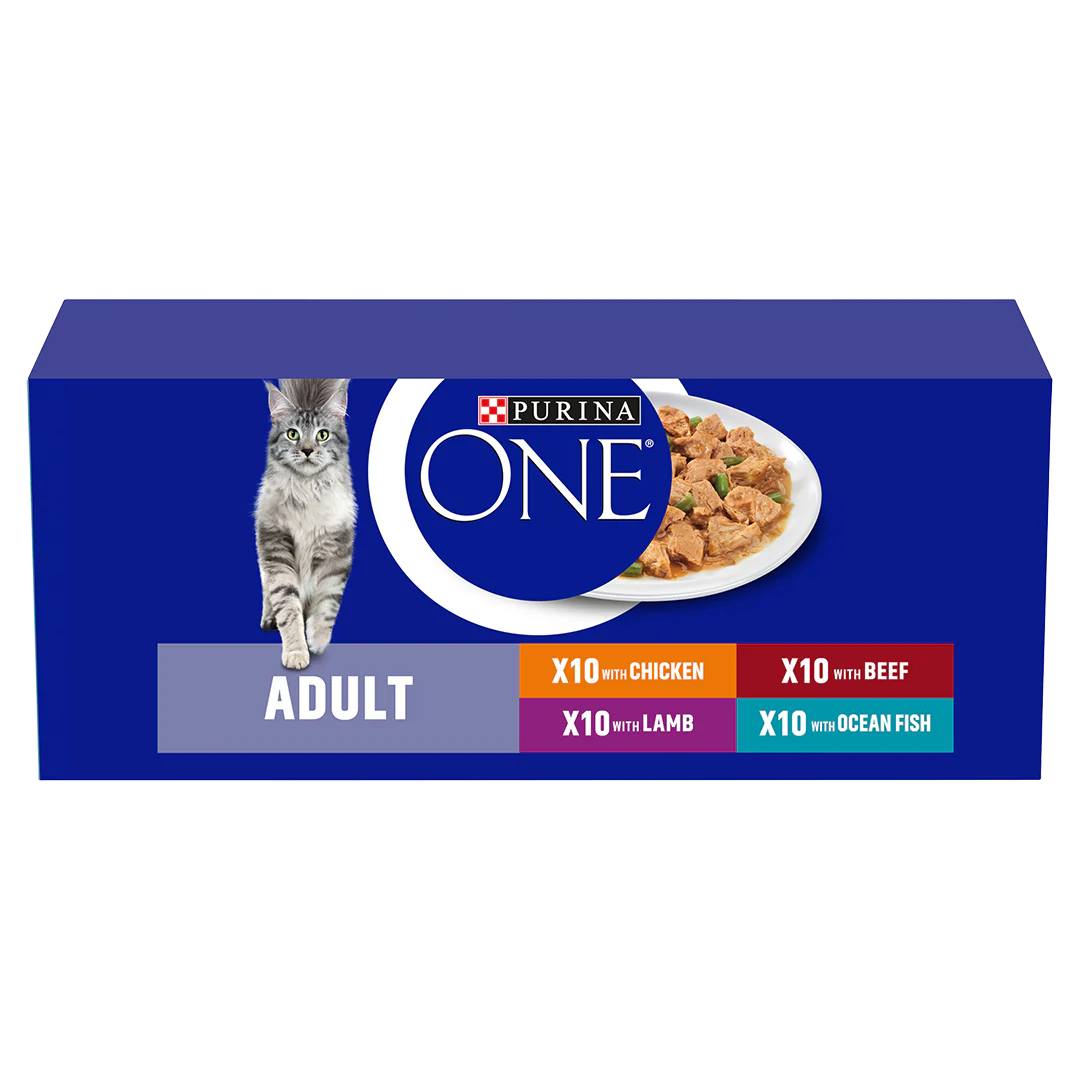 Purina One Adult Mini Fillets Mixed Selection in Gravy Wet Cat Food 40 x 85g