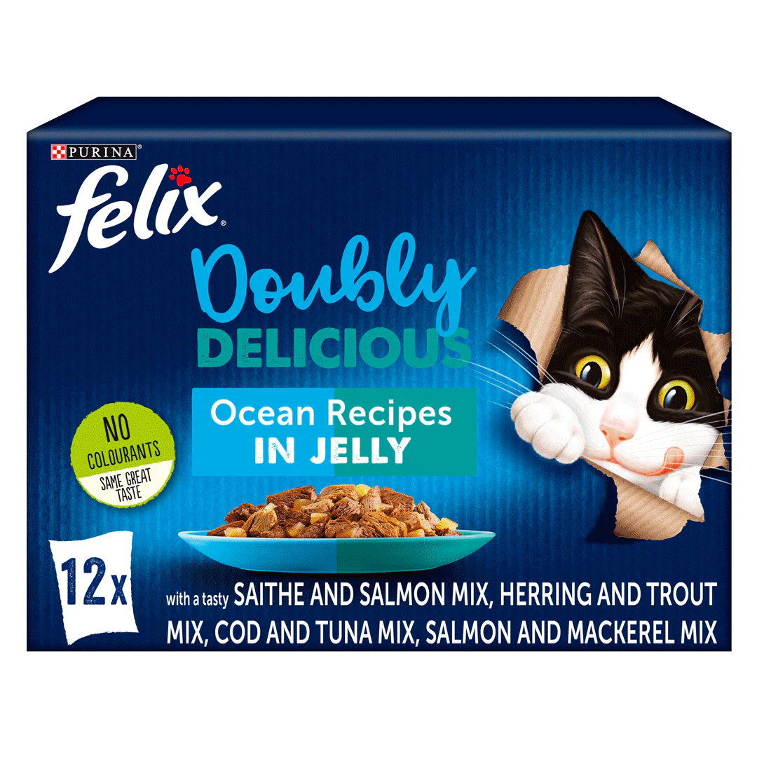 Felix Adult Doubly Delicious Ocean Recipes Wet Cat Food 12 x 100g