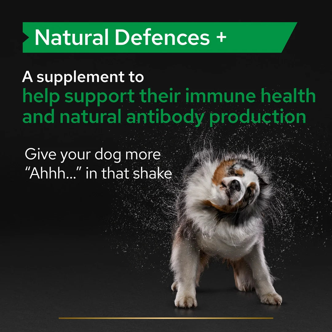 Pro Plan Adult and Senior Natural Defences Dog Supplement 45 Tablets