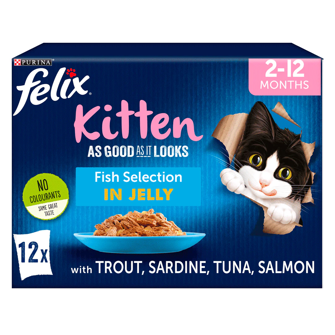 Felix As Good As it Looks Kitten Fish Selection in Jelly Wet Cat Food 12 x 100g