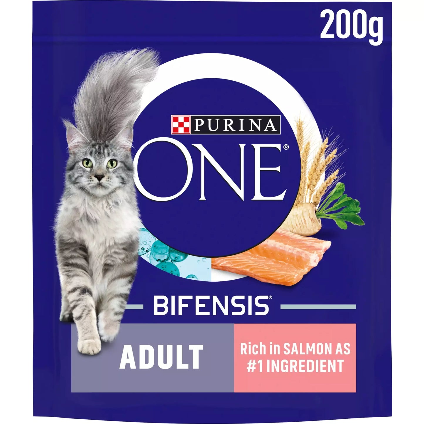 Purina One Adult Salmon Dry Cat Food