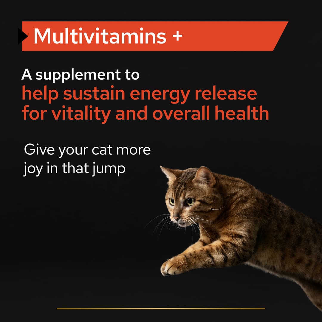 Pro Plan Adult and Senior Multivitamins Cat Supplement Powder 60g