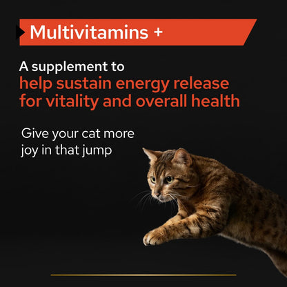 Pro Plan Adult and Senior Multivitamins Cat Supplement Powder 60g