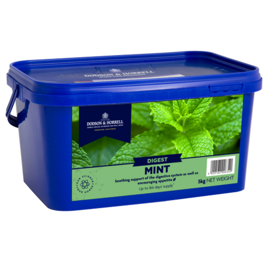 Dodson & Horrell Mint Digestive and Appetite Supplement For Equine 1kg