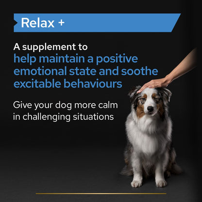 Pro Plan Adult and Senior Relax Dog Supplement Oil