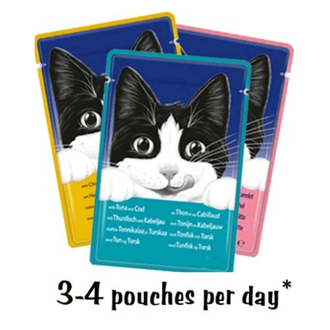 Felix Adult Original Mixed Selection in Gravy Wet Cat Food 12 x 100g