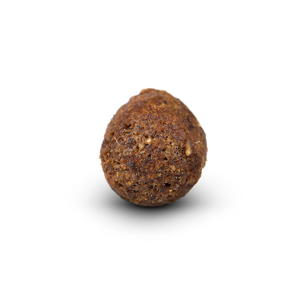 Arden Grange Adult Lamb & Rice Dry Dog Food