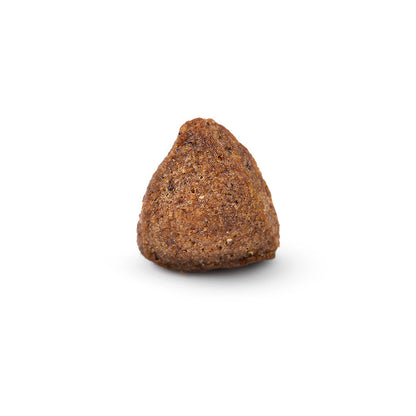 Arden Grange Adult Pork with Rice Dry Dog Food