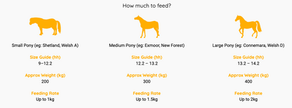 Dengie Alfalfa Pellets Equine Food 20kg