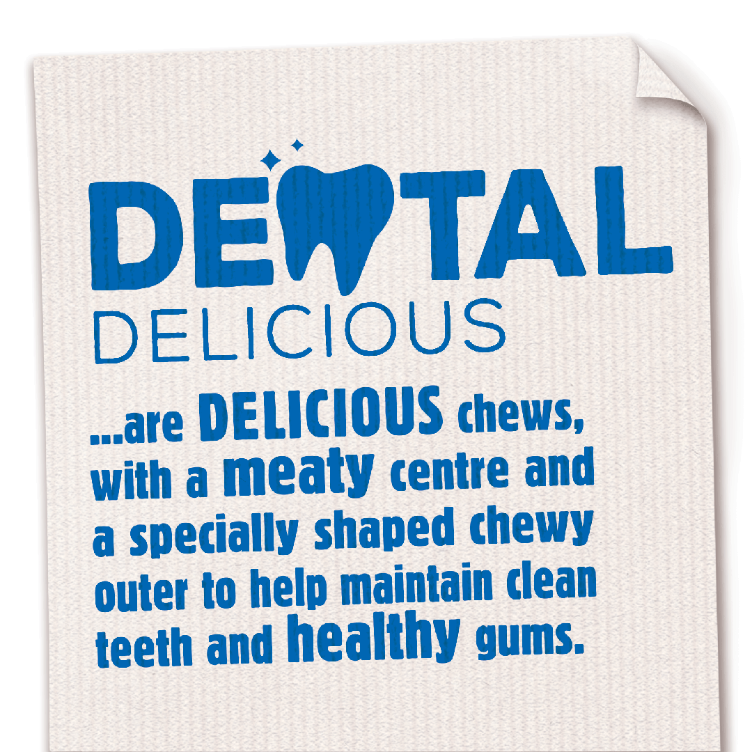 Bakers Dental Delicious Large Dog Chicken Dog Chews 270g