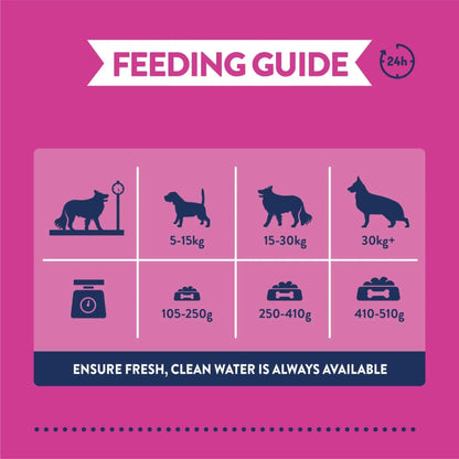 Burgess Greyhound & Lurcher with Chicken Dry Dog Food 12.5kg