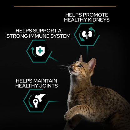 Pro Plan Adult Renal Plus Chicken Dry Cat Food