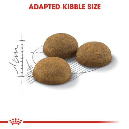 Royal Canin Adult Indoor Long Hair Dry Cat Food