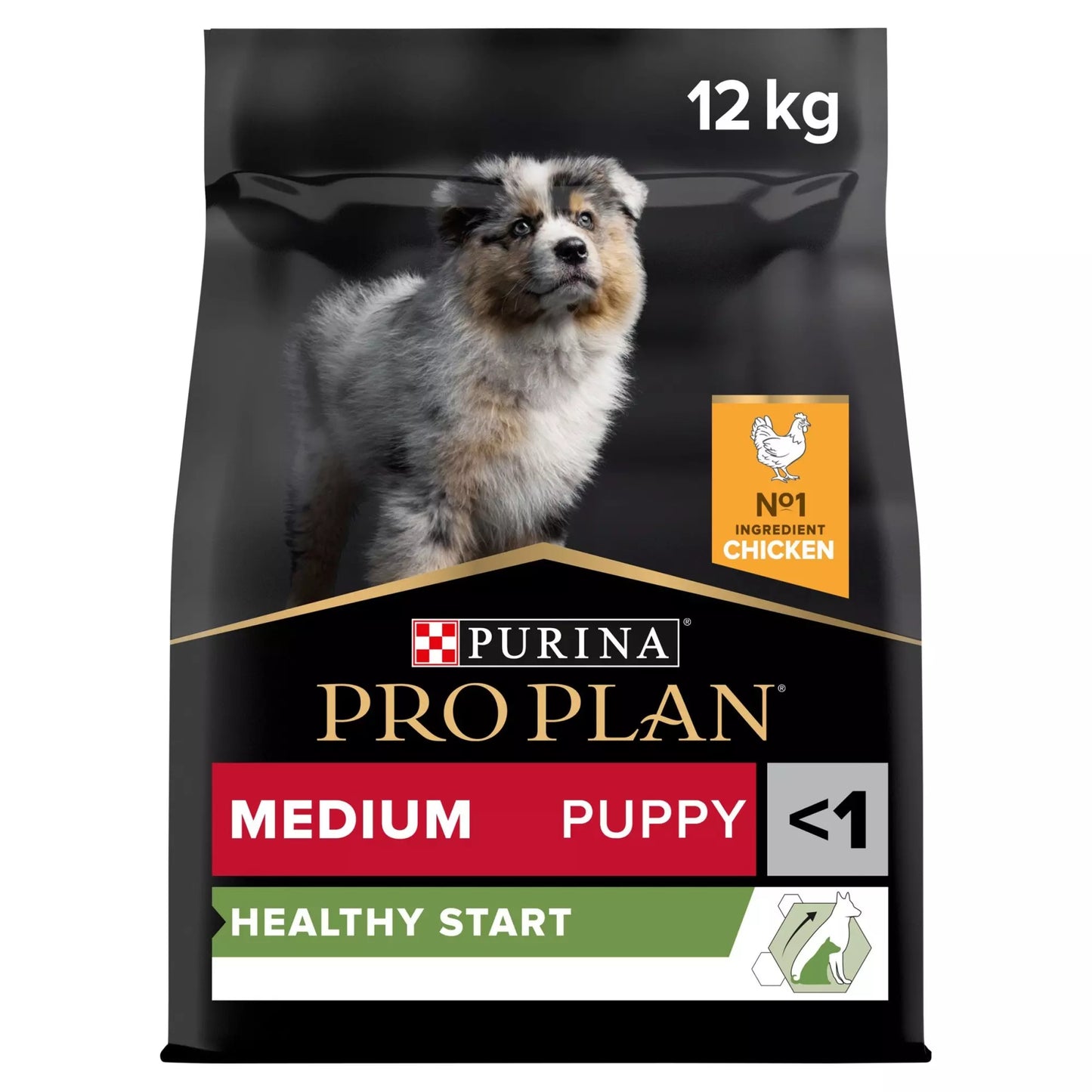 Pro Plan Medium Puppy Healthy Start Chicken Dry Dog Food