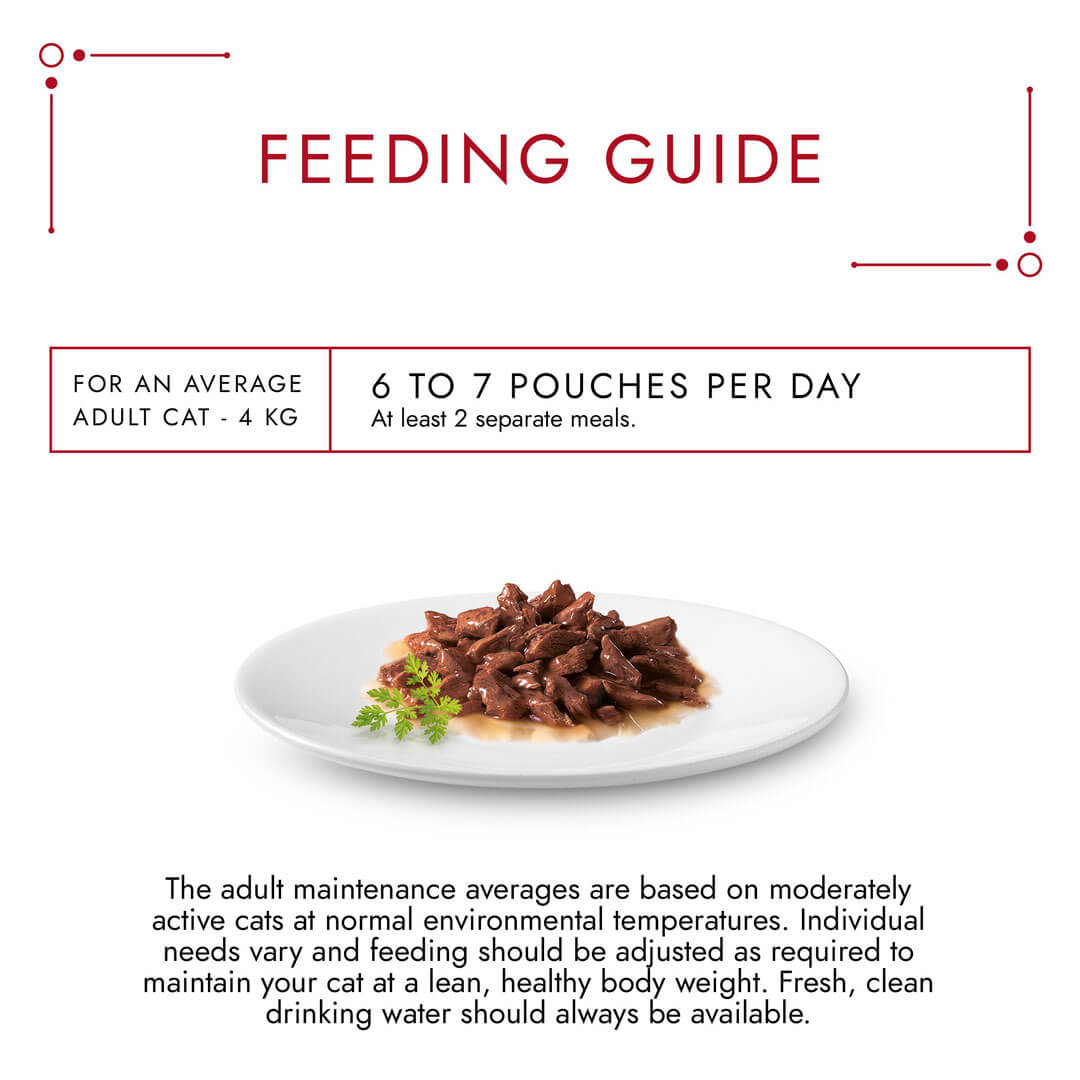 [Clearance Sale] Gourmet Adult Mon Petit Meaty Variety (Beef, Chicken and Lamb) Wet Cat Food 6 x 50g