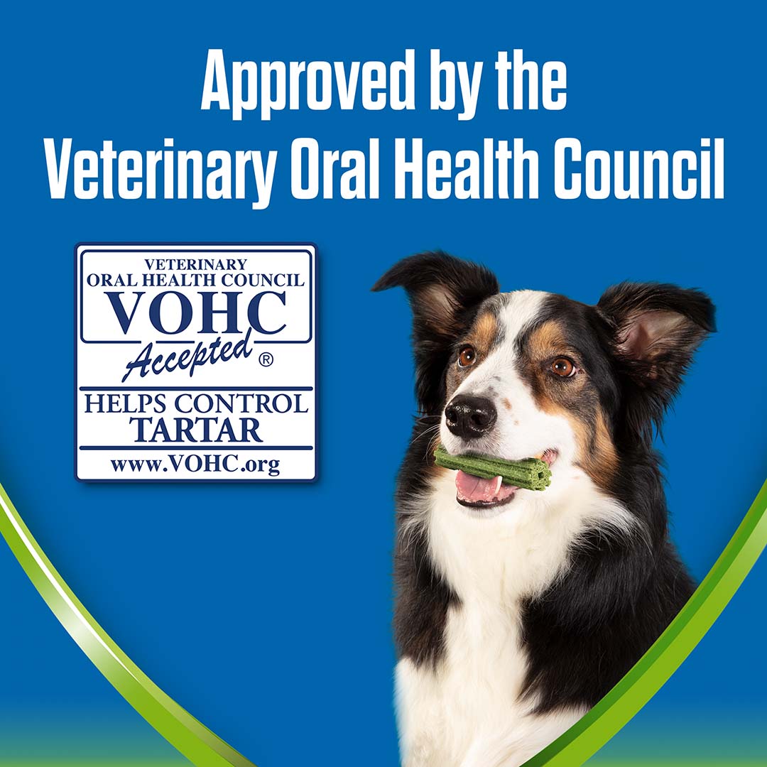 Dentalife ActivFresh Medium Dog Treat Dental Chew