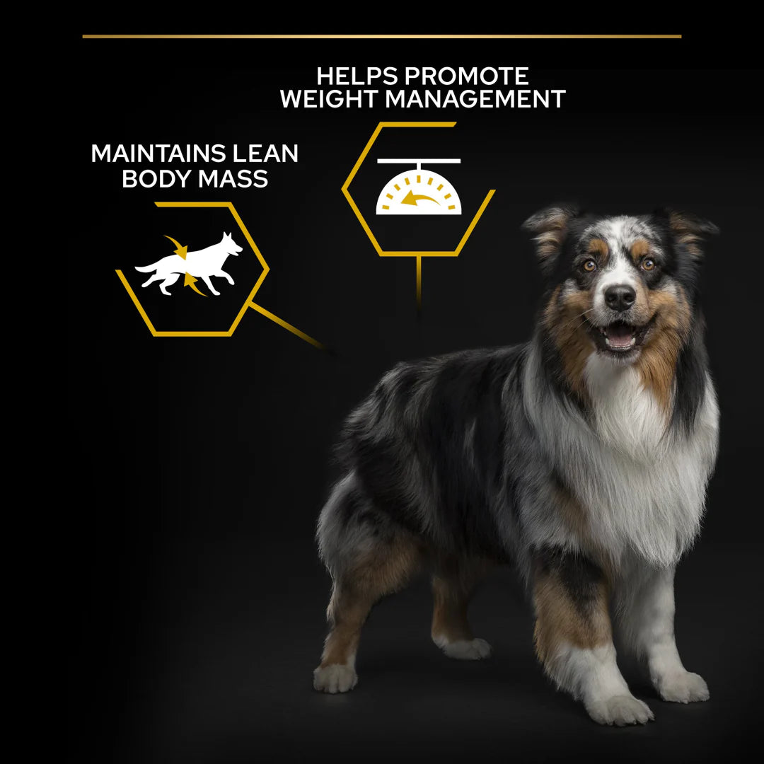 Pro Plan All Size Adult Light Sterilised Chicken Dry Dog Food