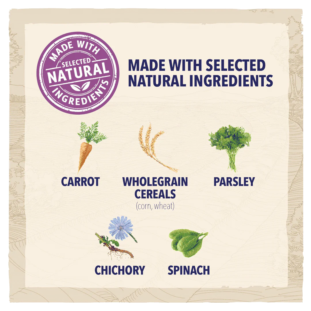 Beta Senior Chicken Dry Dog Food