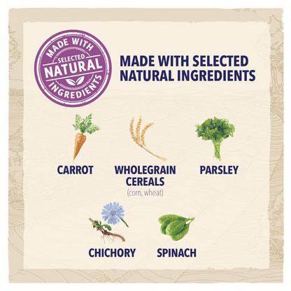 Beta Senior Chicken Dry Dog Food