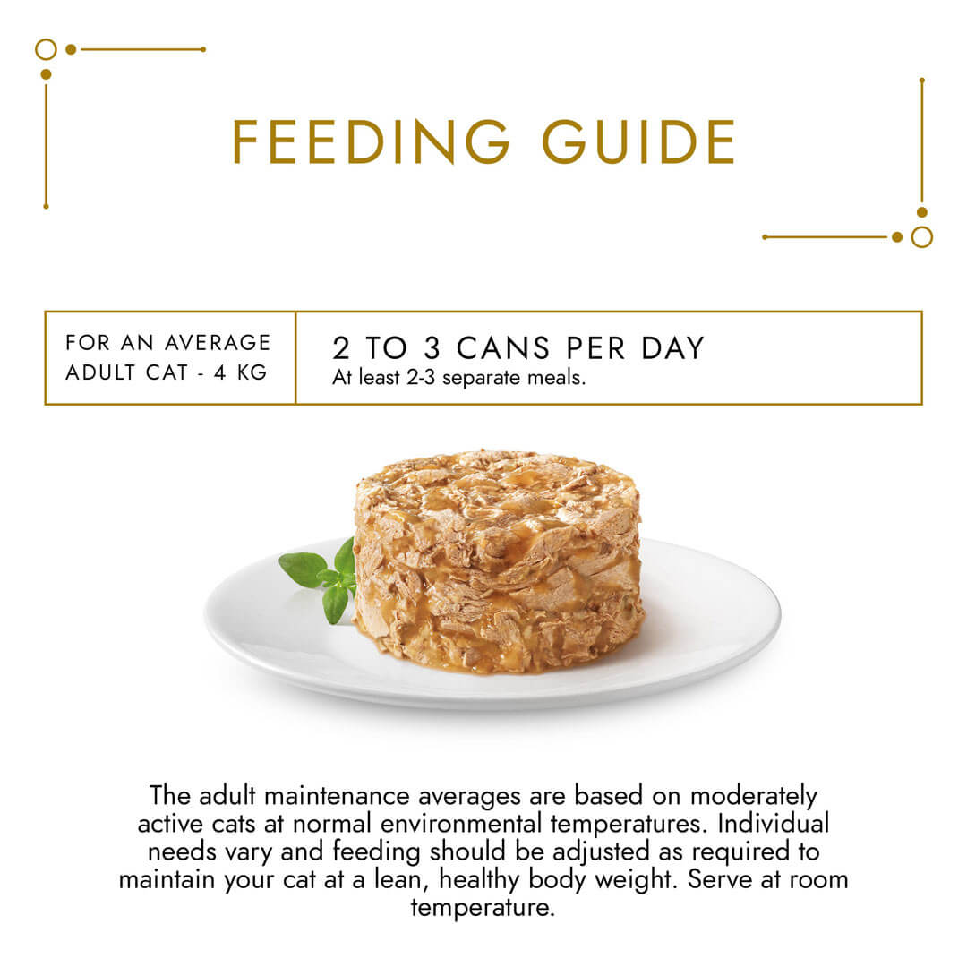 Gourmet Adult Gold Savoury Cake Salmon Wet Cat Food