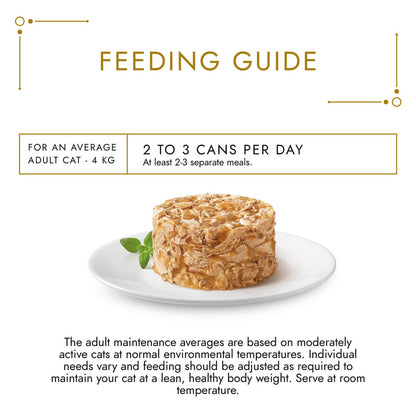 Gourmet Adult Gold Savoury Cake Salmon Wet Cat Food