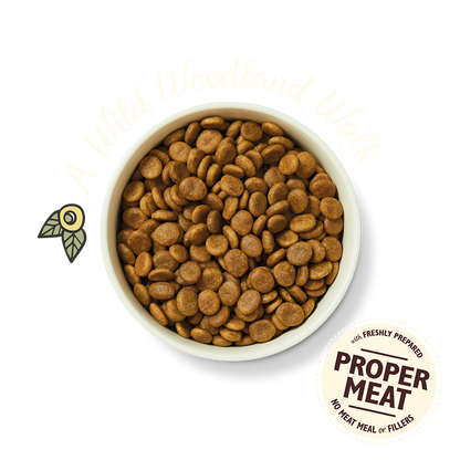 Lily's Kitchen Adult Wild Woodland Walk Duck/Salmon & Venison Dry Dog Food